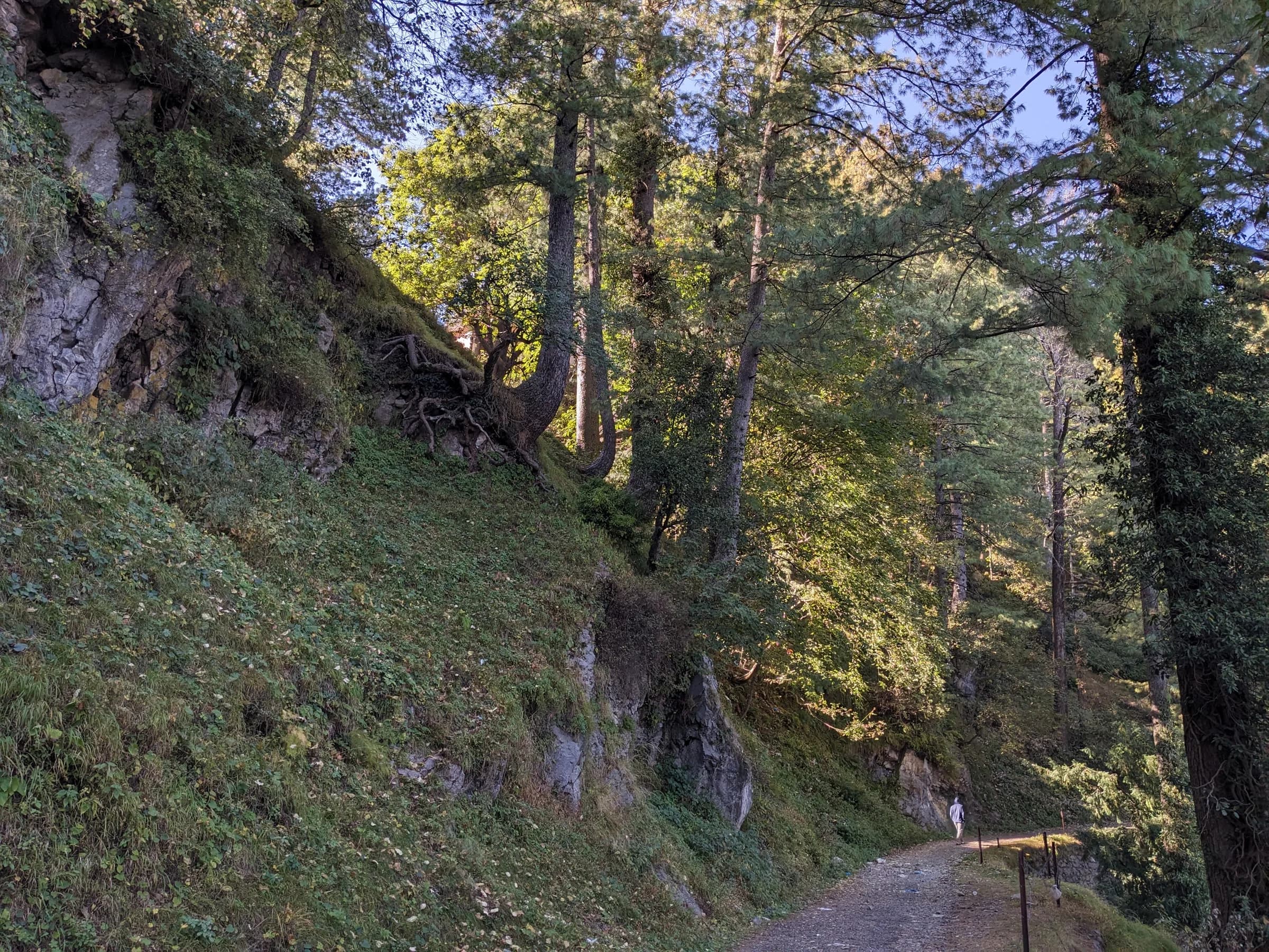 A forest track leading up to the old red church at Nathia Gali, with a man walking it alone in the early light.