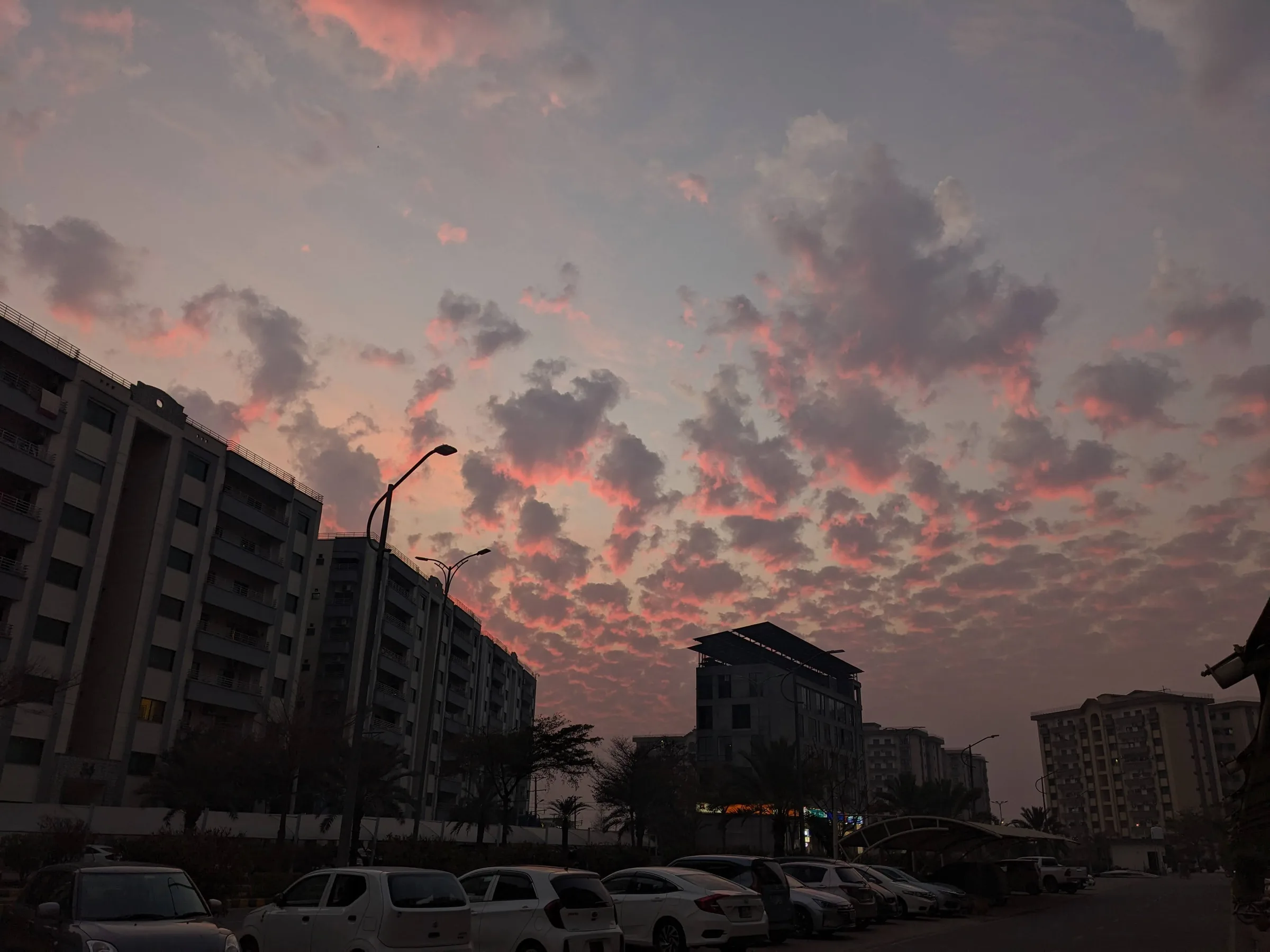 A pink and grey dappled sunset over apartment buildings and a parking lot lined with palm trees.