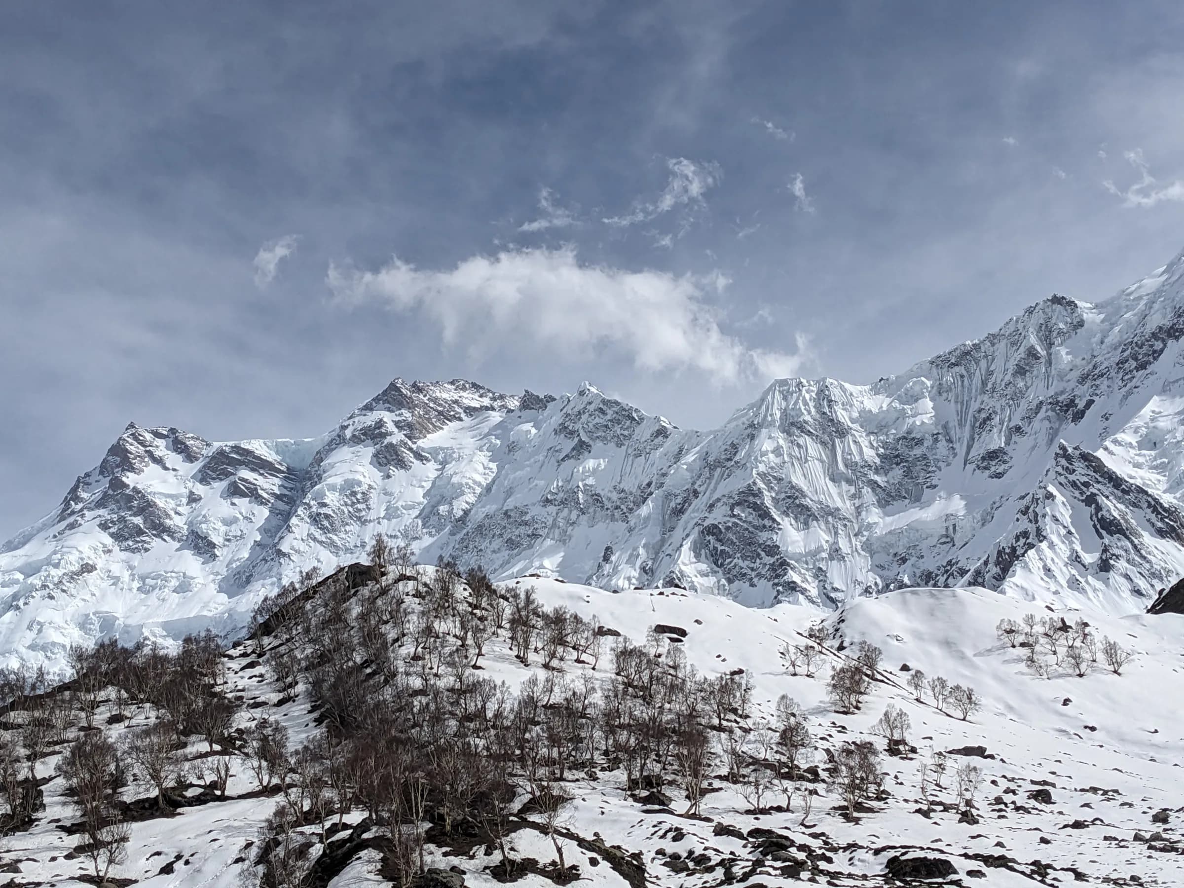 Snow covered peaks of the Nanga Parbat massif under broken cloud, from a viewpoint above Beyal Camp, with bare trees scattered across the slope below.