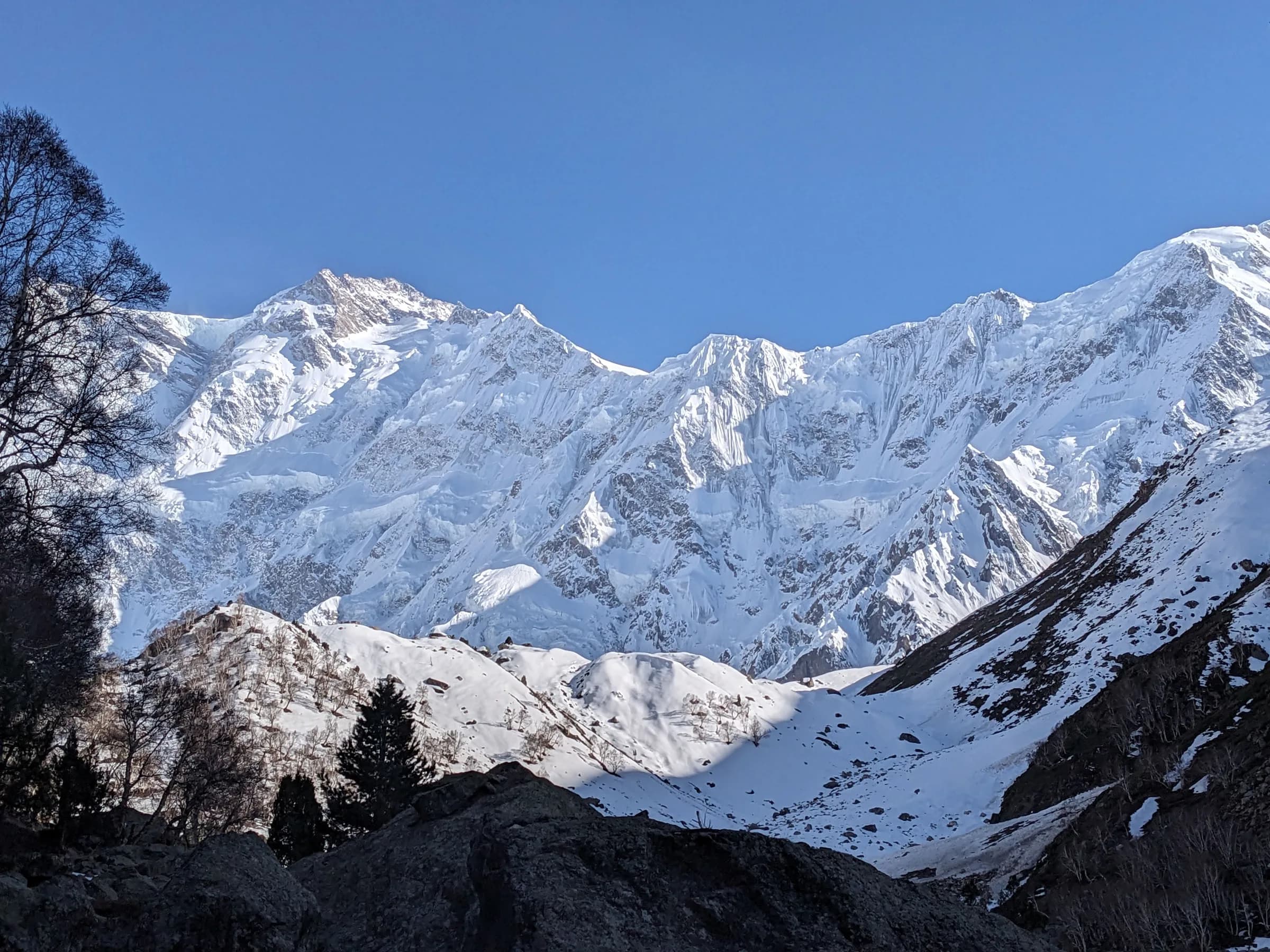 The snow covered face of Nanga Parbat under a clear blue sky, seen from just past Beyal Camp, above dark rocky ridges.